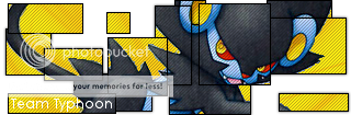 luxray_type.png