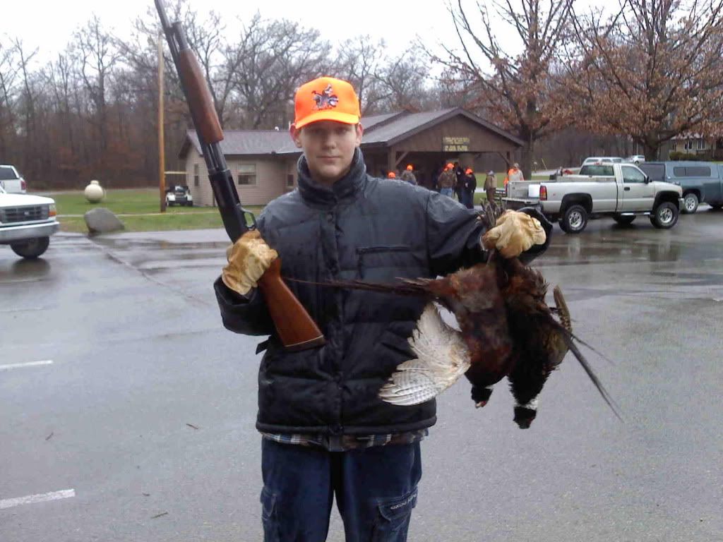 pheasant2011.jpg
