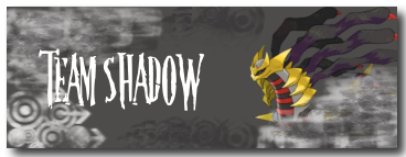 50981398.png