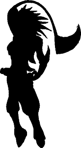 nhshadow.png