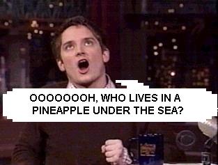 capelijahsponge.jpg