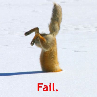 normal_Fail-ice-age-squirrel.jpg