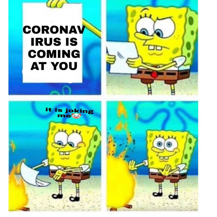 pgonm.jpg
