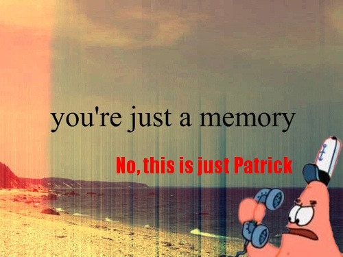 tumblr_lrcg2ehj7y1qjse3oo1_500.jpg