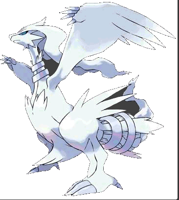 RESHIRAM.png