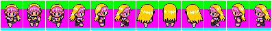 POLcrystalwalkingbag.png