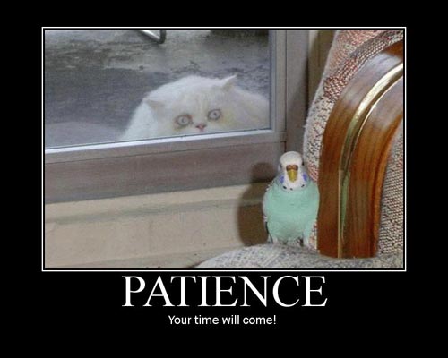 patience.jpg