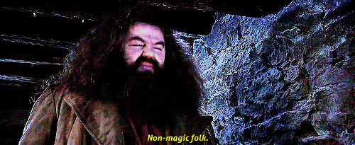 tumblr_mj4cxsJ51W1qdqlhzo2_500.gif