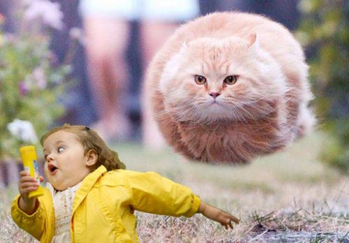 tumblr_l778hqwWgL1qavntqo1_500.jpg
