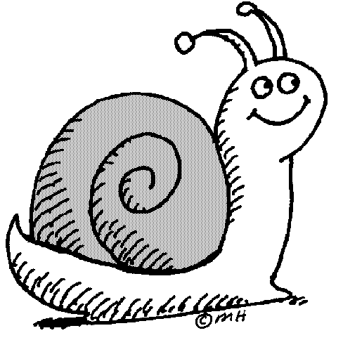 snail.gif