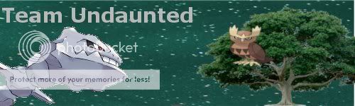steelixnoctowlbanner.jpg