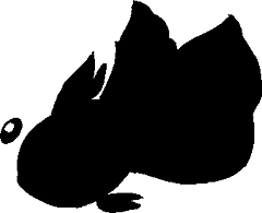 fghgshadow.png
