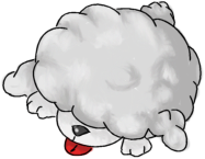 pupadoomini.png