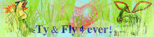 Banner-wolfygang.png