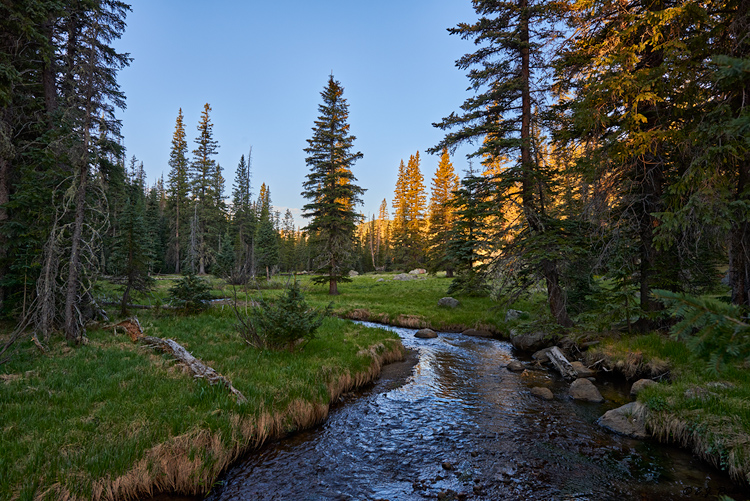 AZ_WhiteMountains16.jpg