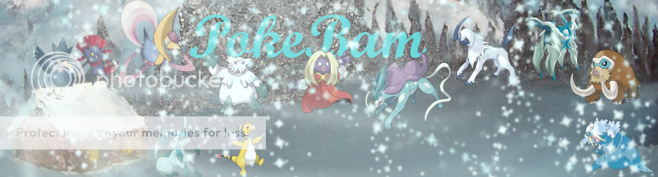 Banner-Steelzip.png