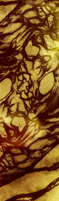 A9hkJ.png