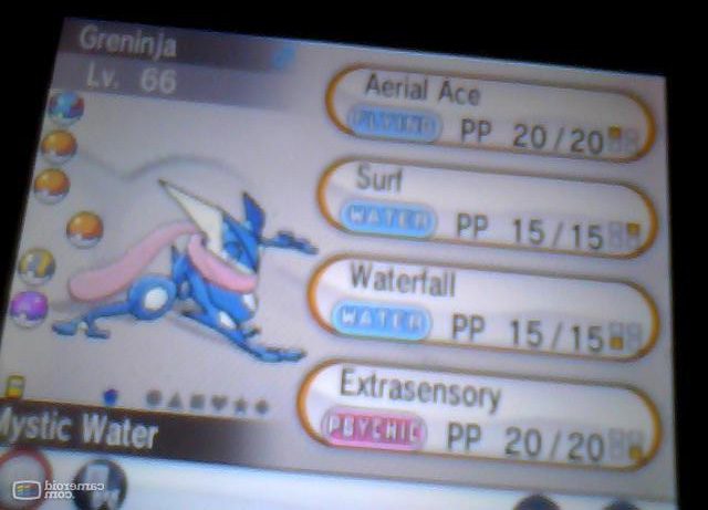 greninja.jpg