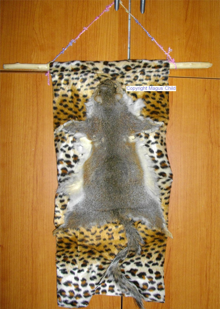 leopard_squirrel_by_magus_child-d3d1x8l.jpg