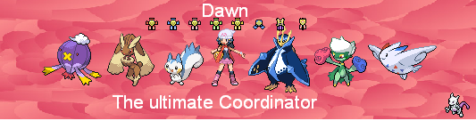 dawnbanner1.png