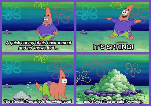 tumblr_mjzmok54jZ1qaqps8o1_500.jpg