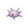 cascoon.png