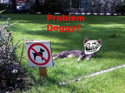 tumblr_lef65aQ9LA1qf087qo1_500.png