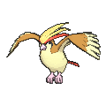 pidgeot.png