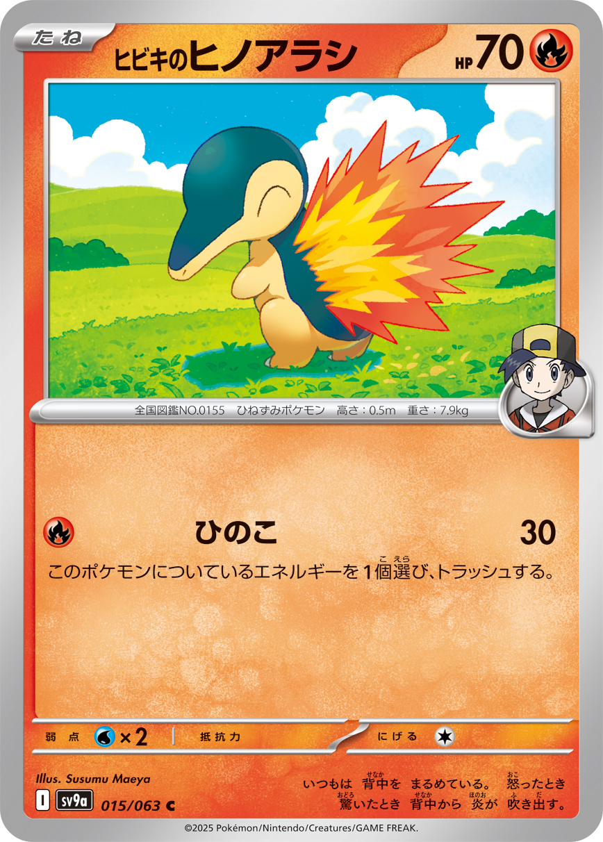 047310_P_HIBIKINOHINOARASHI.jpg