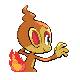 chimchar.png