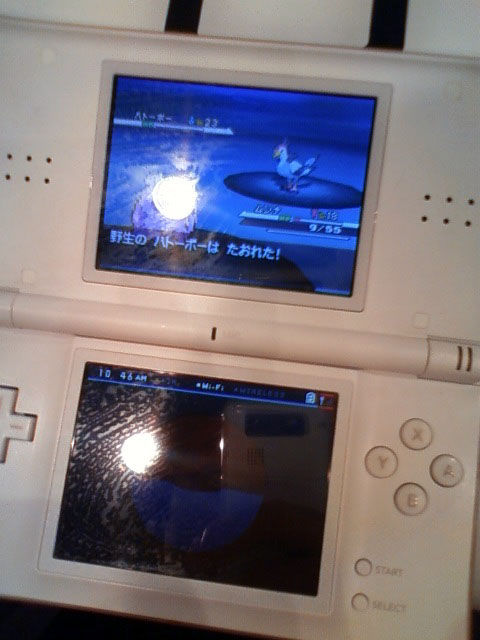 new-pokemon-bw-demo.jpg