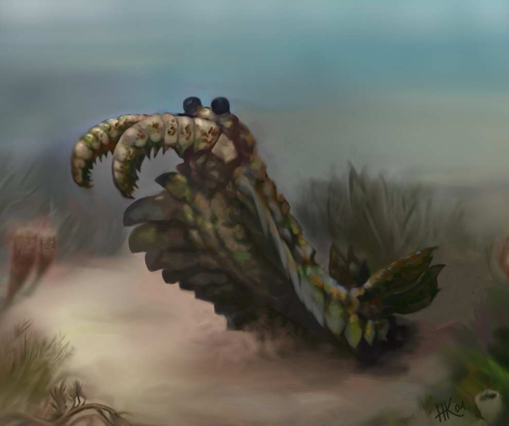 anomalocaris.jpg