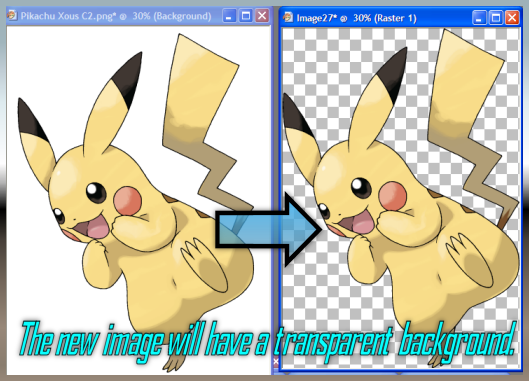 SugiGuideImage18.png