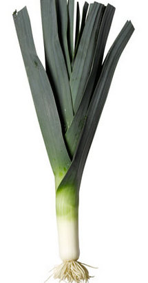 45c6c9654d1ced068015a19adf448758.png