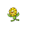sunflora.png