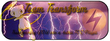 TeamTransformBannerLightningSmall.png