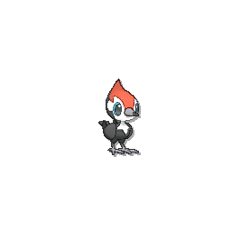 pikipek.png