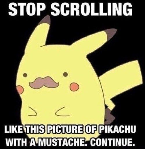 e82f8d08fd42bade0454649d91e67d3f.jpg