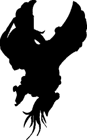ssnbshadow.png
