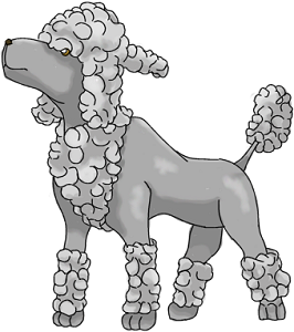 poodorabumini.png