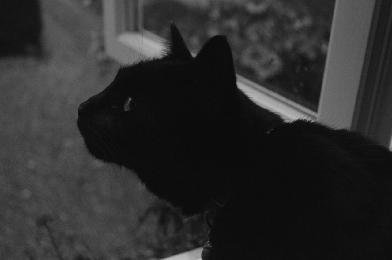 tumblr_my9it2GVMF1tnq2muo1_1280.jpg