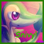 Snivyavvy.png