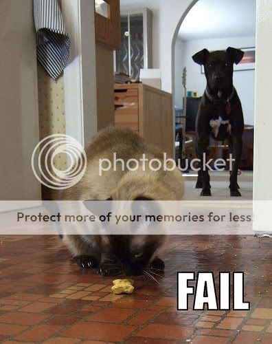 2309617259_f9186c48ce.jpg