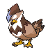 staraptor.gif