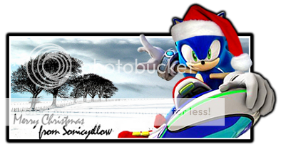 sonicyellowbannerfinal1A.png