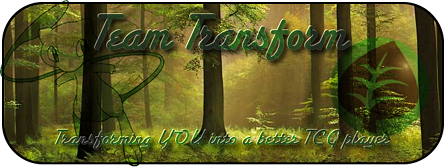 TeamTransformBannerGrassSmall.png