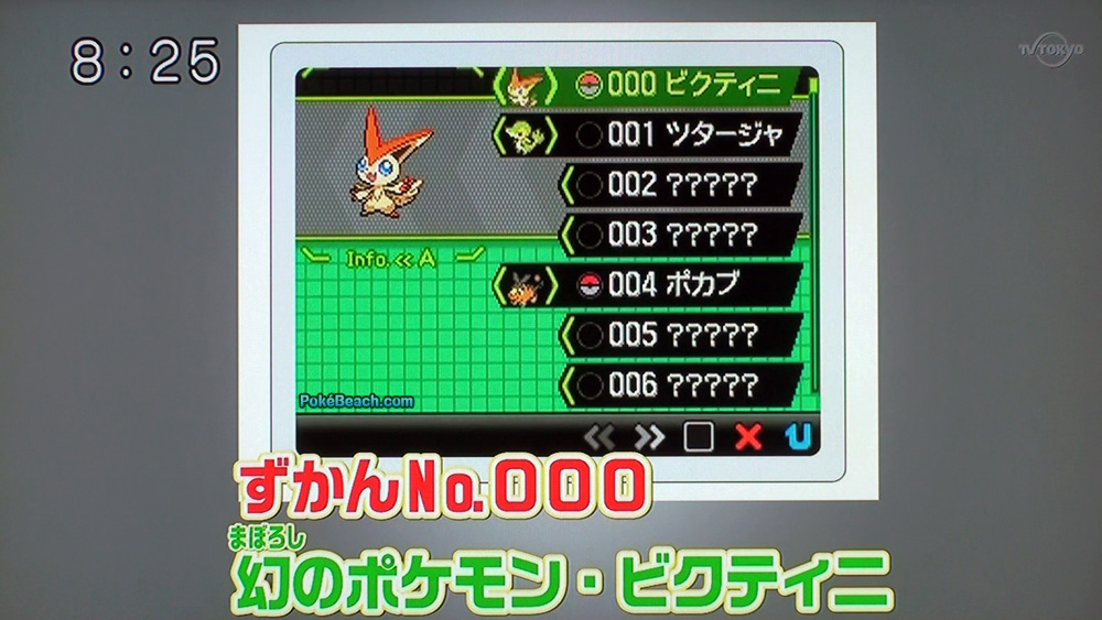 bikutini-pokedex.jpg