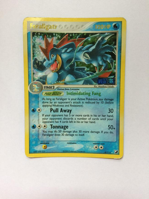 feraligatr1.jpg