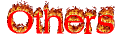 3962987.gif