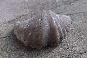 DSCF6380_sml_zpsqsfeyvqm.jpg